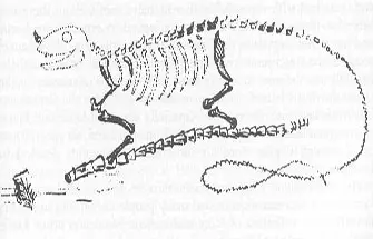 iguanodon reconstitution ratée