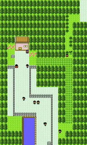 Pokémon Gold and Silver/Route 35 — StrategyWiki, the video game ...