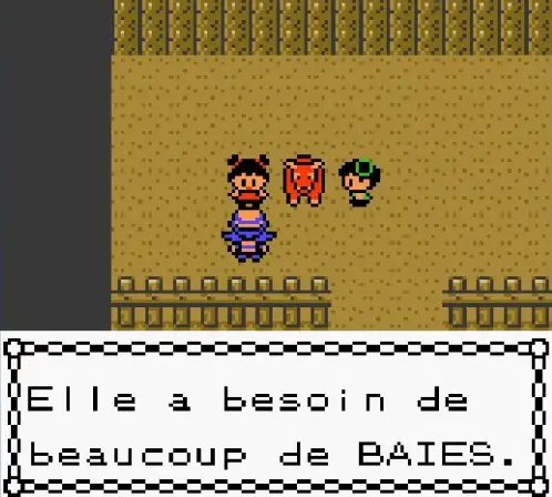 screen du jeu ou un pnj dit "elle a besoin de beaucoup de baies"