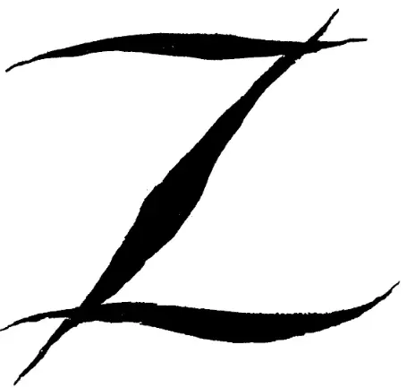 signature zorro Z