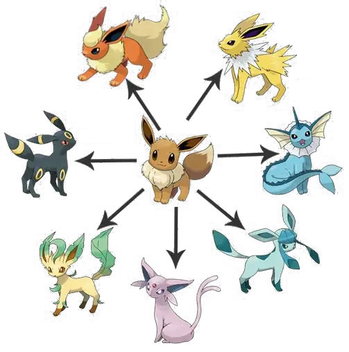 Quelle est la meilleure évolution d'Évoli dans Pokémon Go